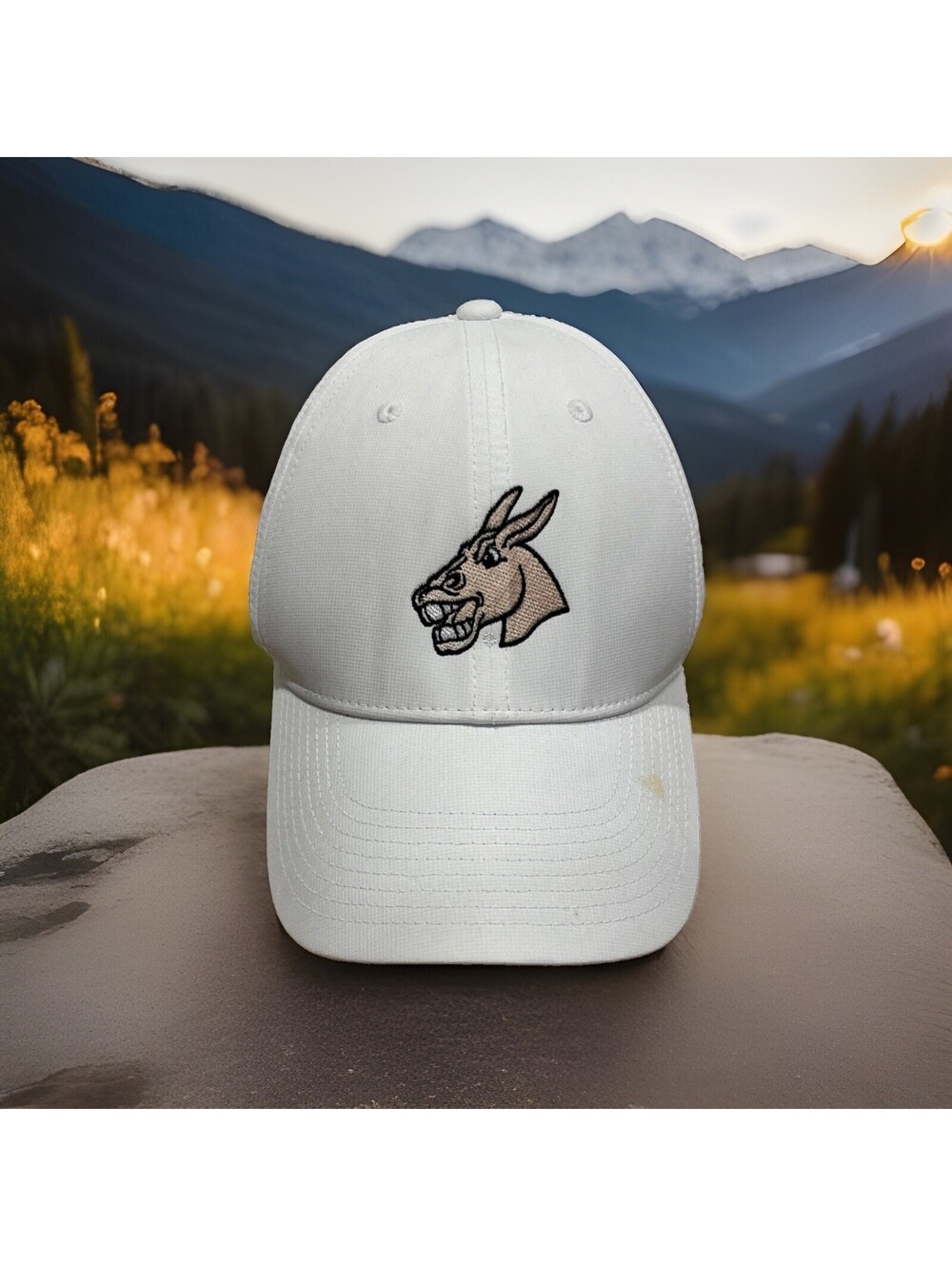Nike UCM Mules University Central Missouri Jennie’s Golf Baseball Cap Hat